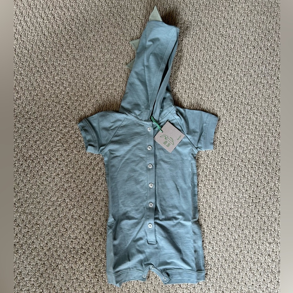 Kate Quinn Dino Hoodie Shortie
